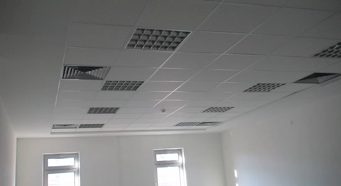 Çerkezköy'de Taşyünü Tavan Uygulaması